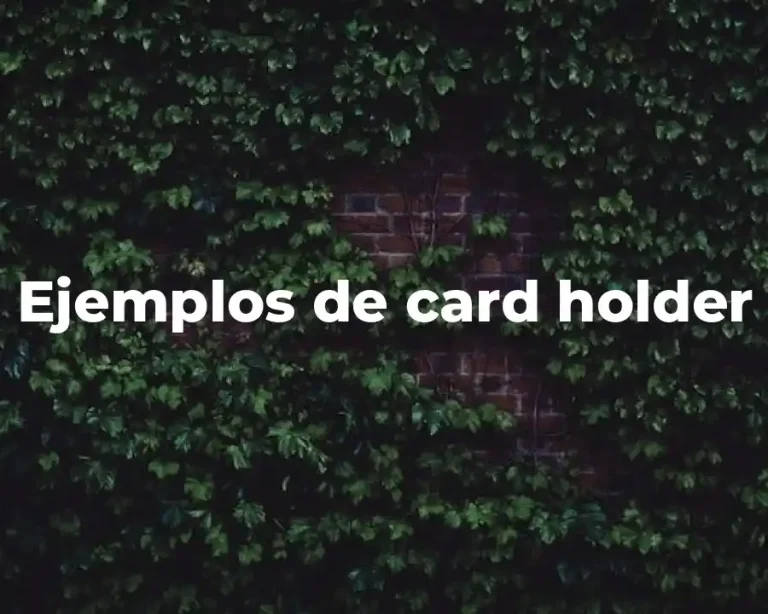 Ejemplos de card holder