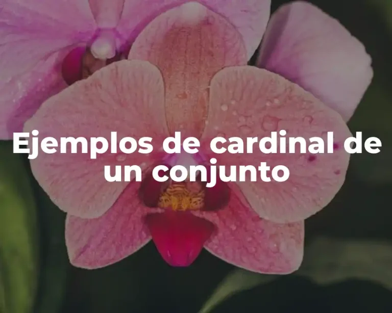 Ejemplos de cardinal de un conjunto