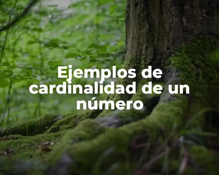 Ejemplos de cardinalidad de un número