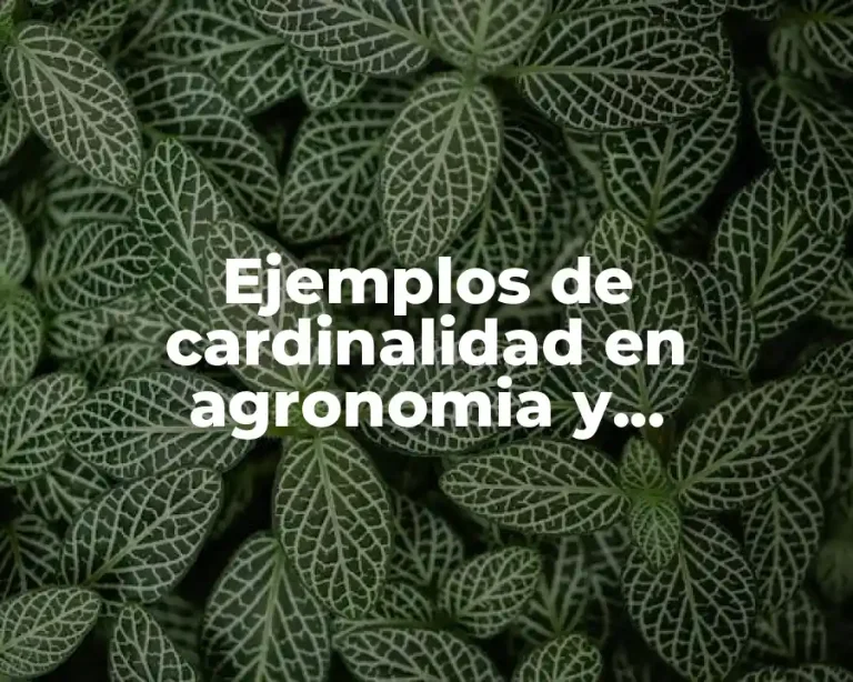 Ejemplos de cardinalidad en agronomia y Significado