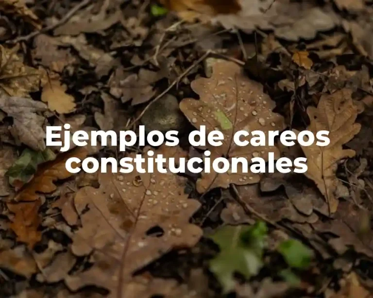 Ejemplos de careos constitucionales