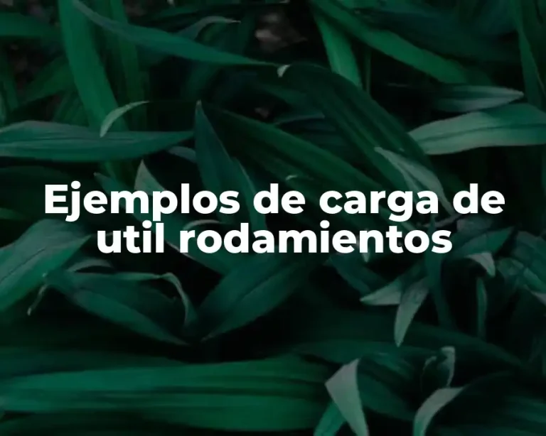 Ejemplos de carga de util rodamientos