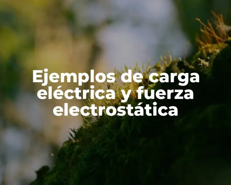 Ejemplos de carga eléctrica y fuerza electrostática