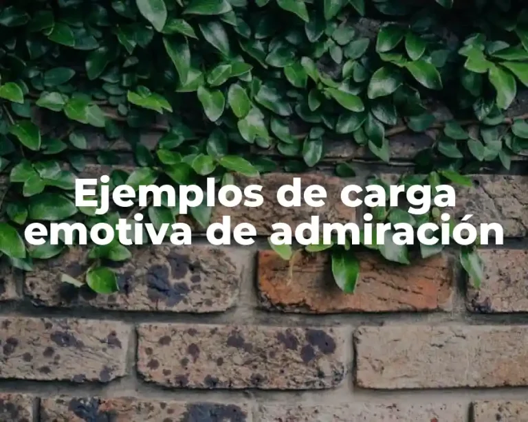 Ejemplos de carga emotiva de admiración
