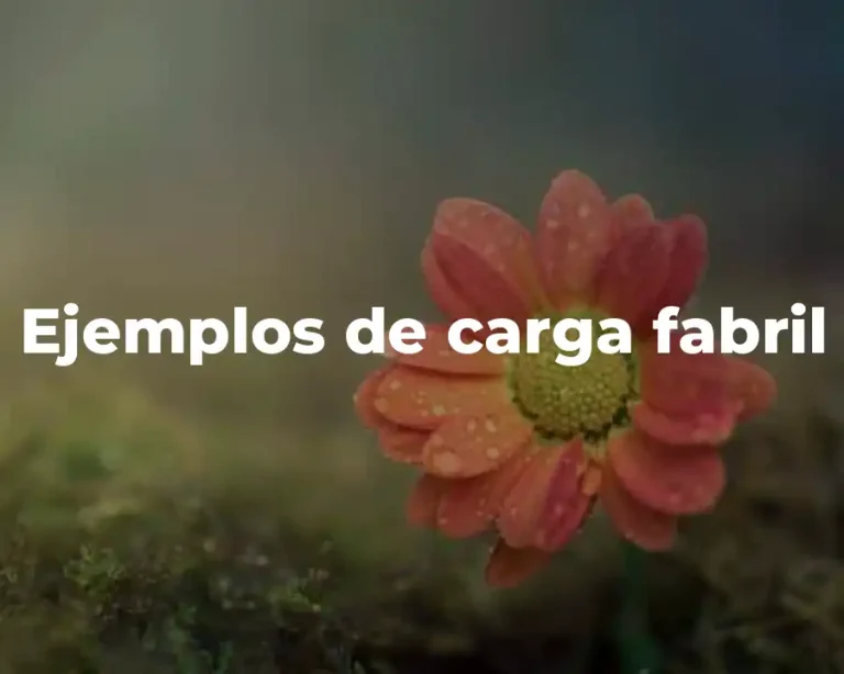 Ejemplos de carga fabril