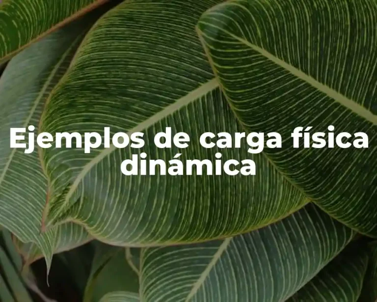Ejemplos de carga física dinámica