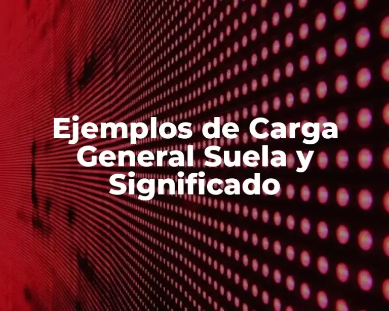 Ejemplos de Carga General Suela y Significado