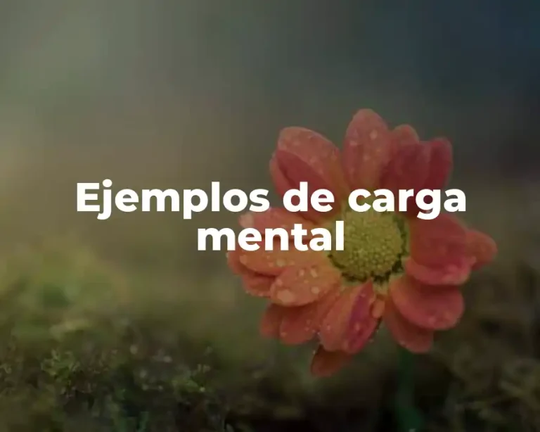 Ejemplos de carga mental