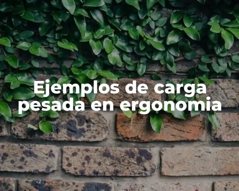 Ejemplos de carga pesada en ergonomia