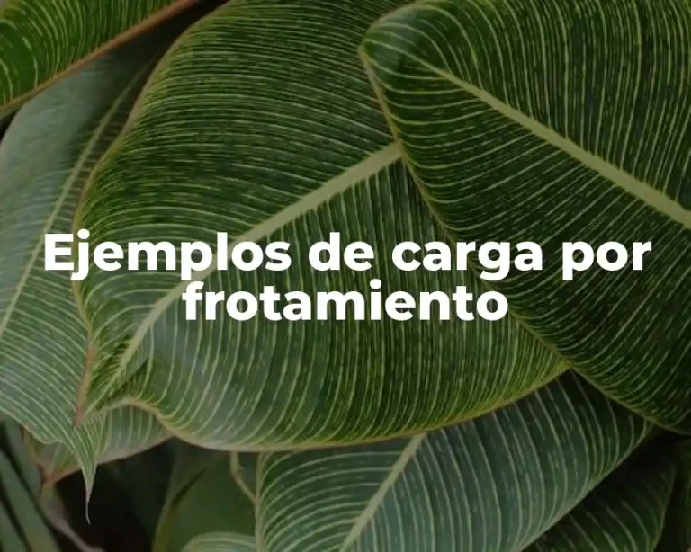 Ejemplos de carga por frotamiento