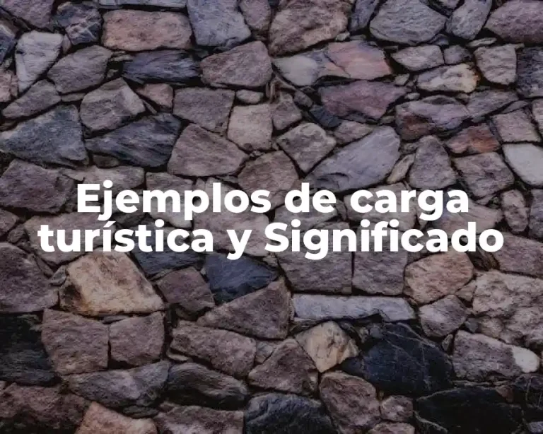 Ejemplos de carga turística y Significado