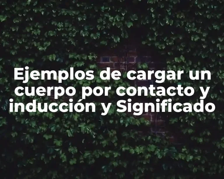 Ejemplos de cargar un cuerpo por contacto y inducción y Significado