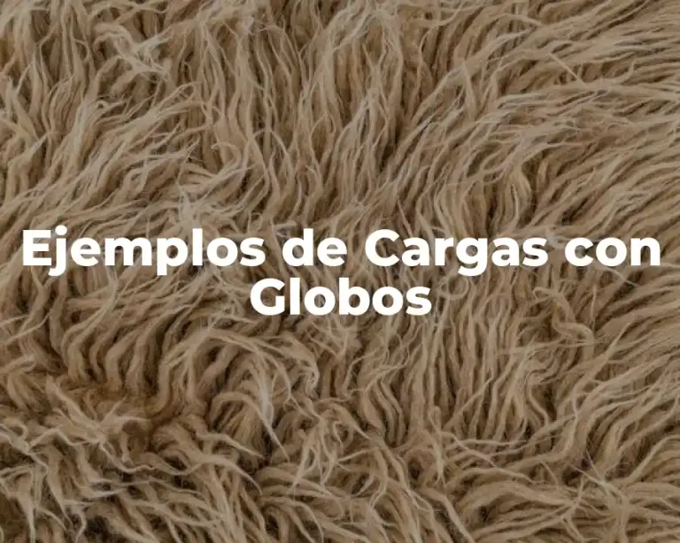 Ejemplos de Cargas con Globos