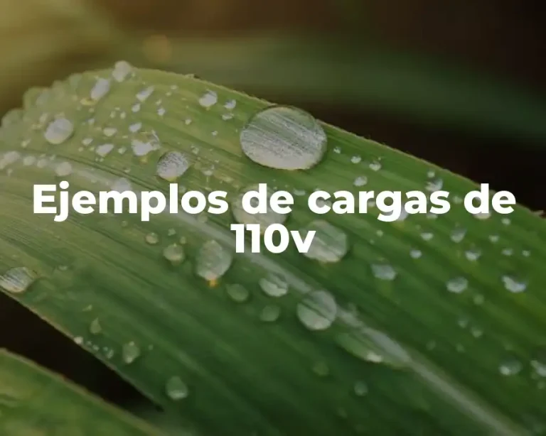 Ejemplos de cargas de 110v