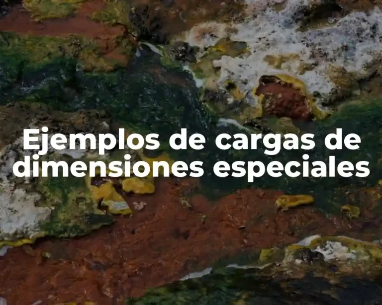 Ejemplos de cargas de dimensiones especiales
