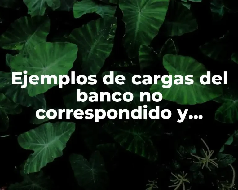 Ejemplos de cargas del banco no correspondido y Significado