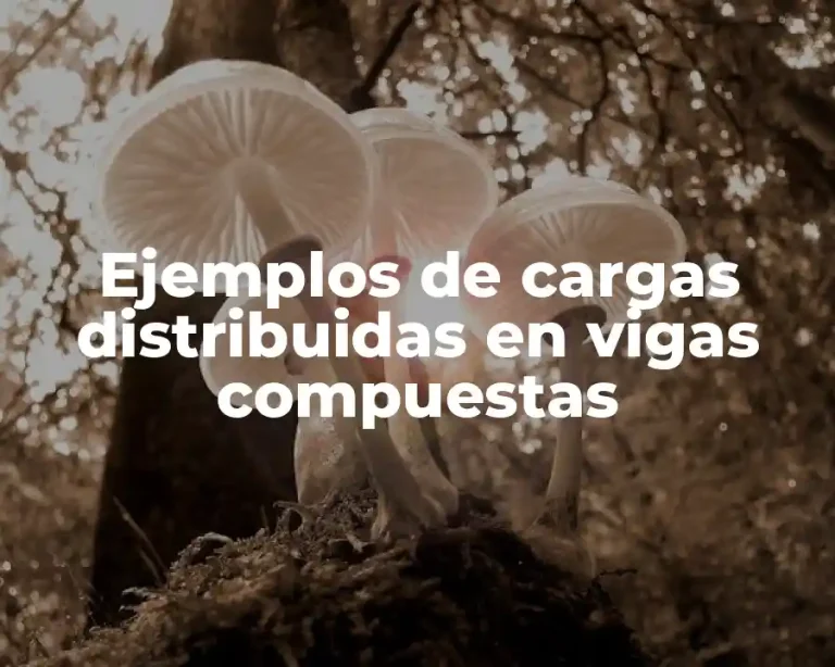 Ejemplos de cargas distribuidas en vigas compuestas