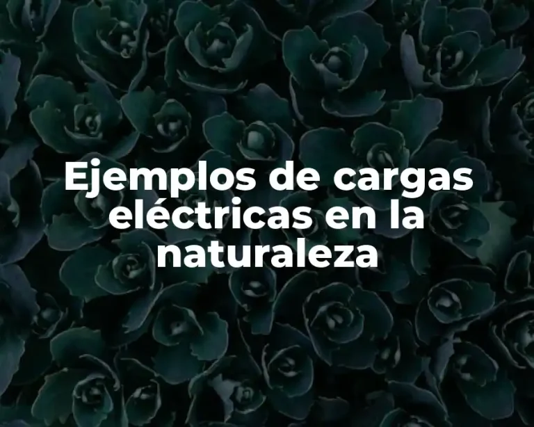 Ejemplos de cargas eléctricas en la naturaleza