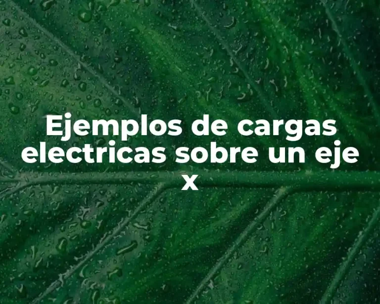 Ejemplos de cargas electricas sobre un eje x
