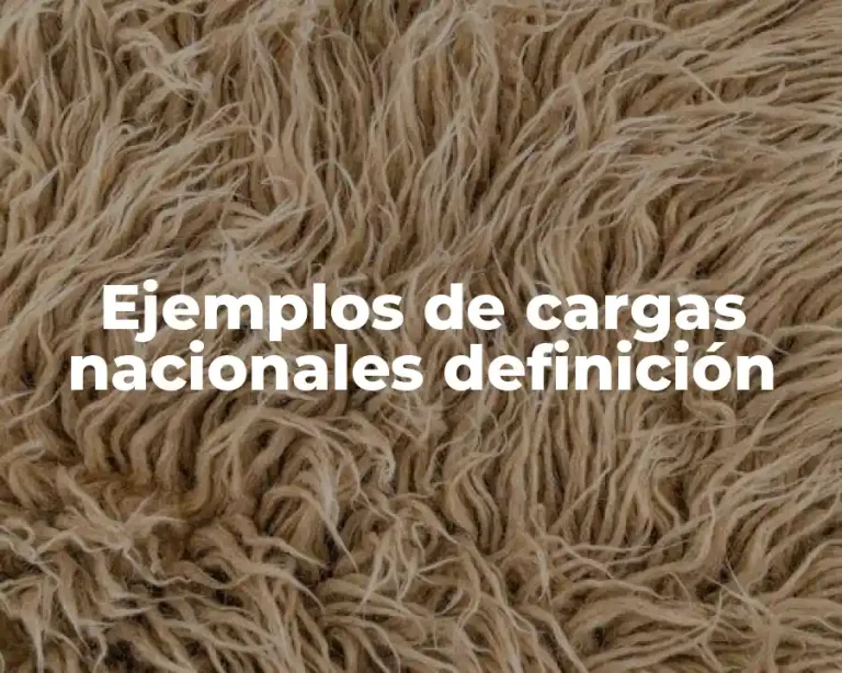 Ejemplos de cargas nacionales definición
