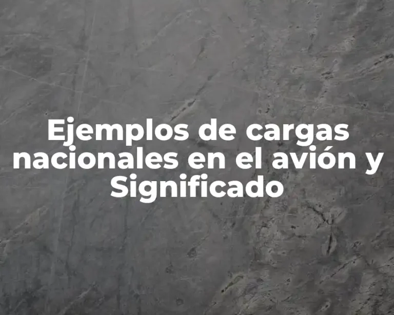 Ejemplos de cargas nacionales en el avión y Significado