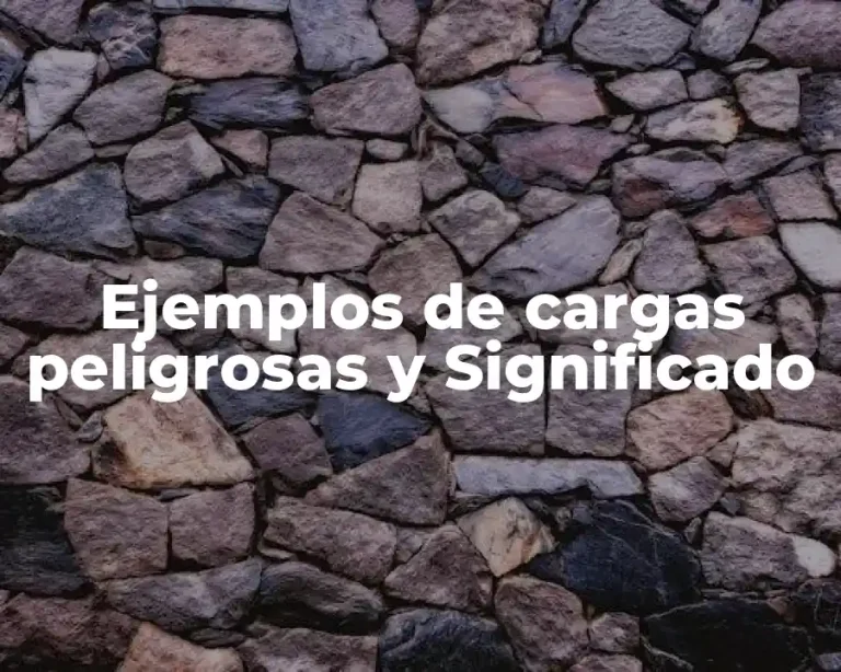 Ejemplos de cargas peligrosas y Significado