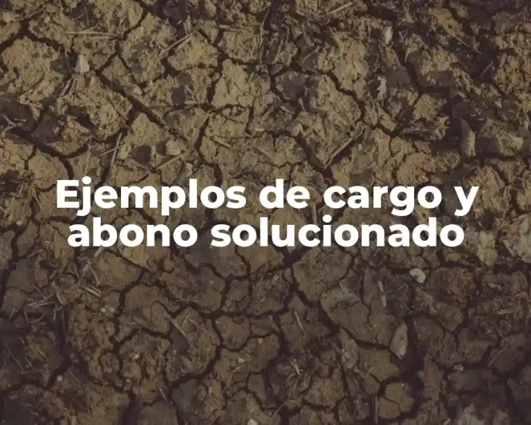 Ejemplos de cargo y abono solucionado