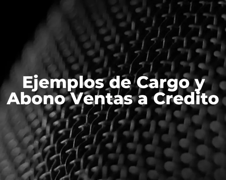 Ejemplos de Cargo y Abono Ventas a Credito