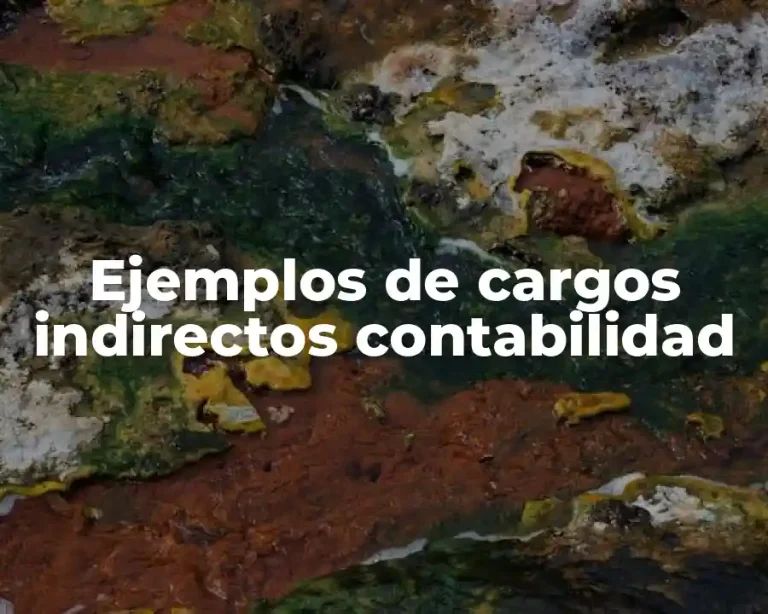 Ejemplos de cargos indirectos contabilidad