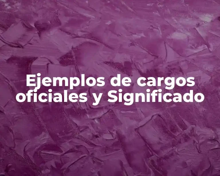 Ejemplos de cargos oficiales y Significado