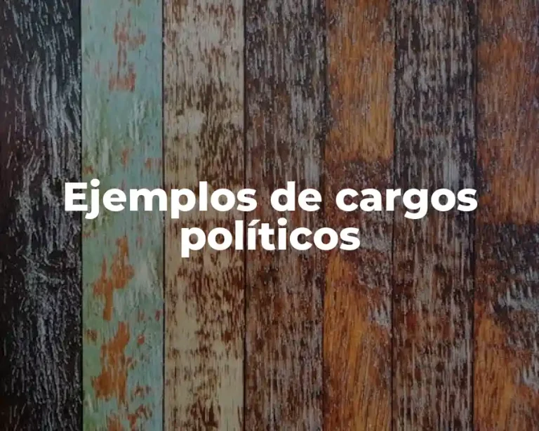 Ejemplos de cargos políticos