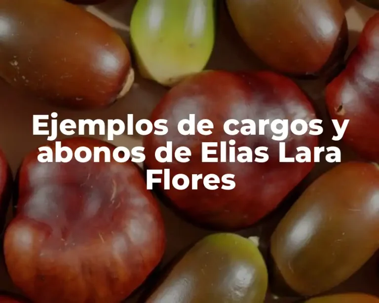 Ejemplos de cargos y abonos de Elias Lara Flores