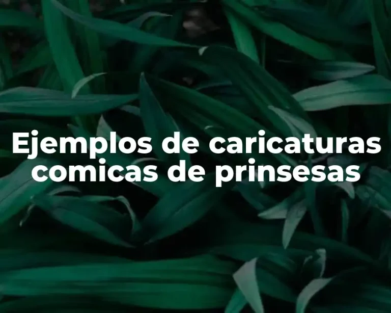 Ejemplos de caricaturas comicas de prinsesas