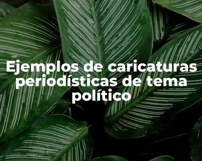 Ejemplos de caricaturas periodísticas de tema político