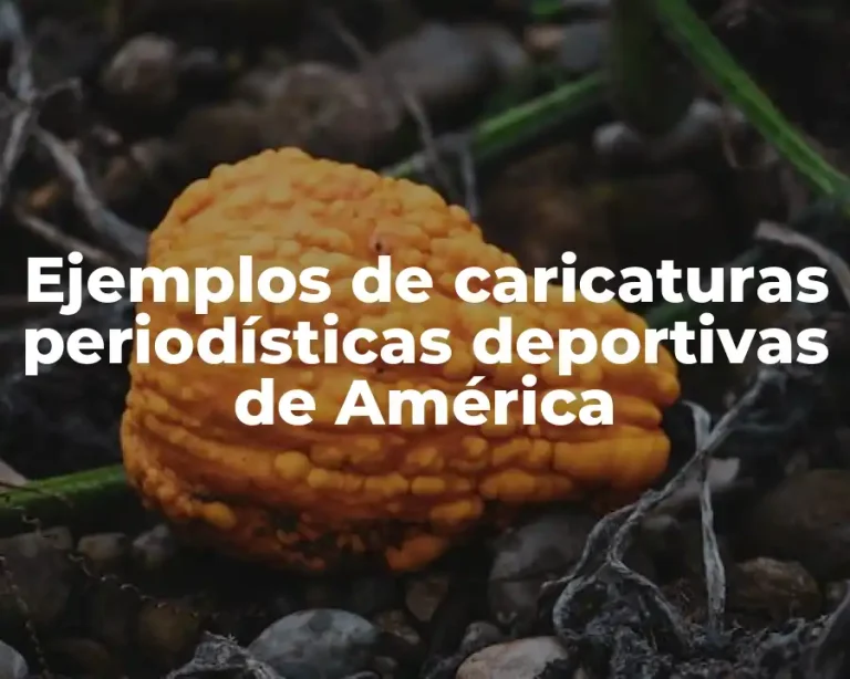 Ejemplos de caricaturas periodísticas deportivas de América