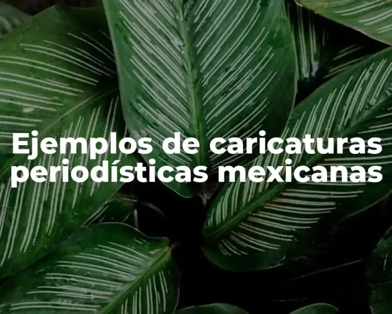 Ejemplos de caricaturas periodísticas mexicanas