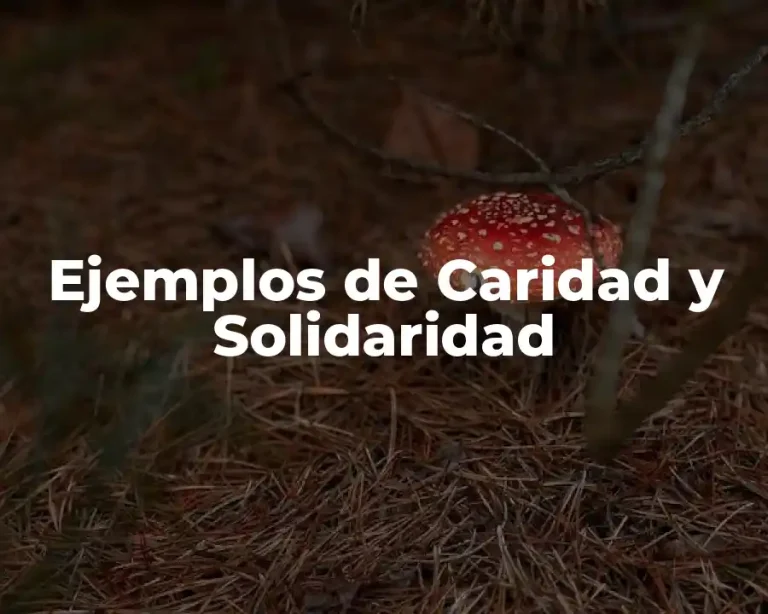 Ejemplos de Caridad y Solidaridad