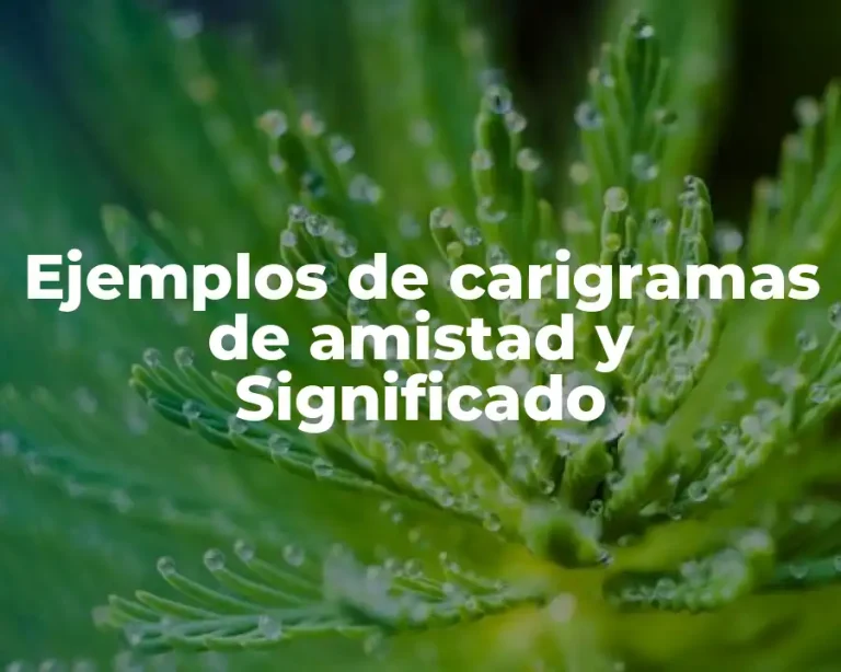 Ejemplos de carigramas de amistad y Significado