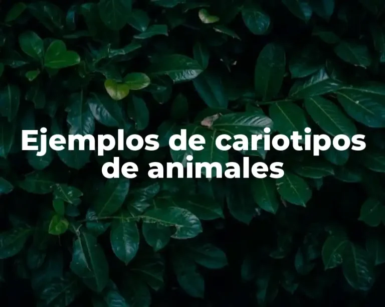 Ejemplos de cariotipos de animales