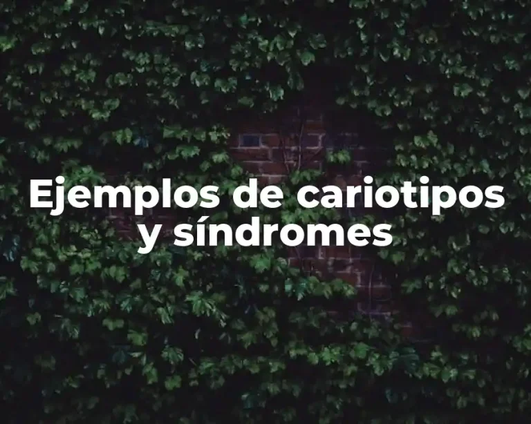 Ejemplos de cariotipos y síndromes