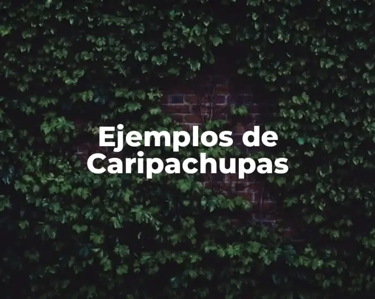 Ejemplos de Caripachupas