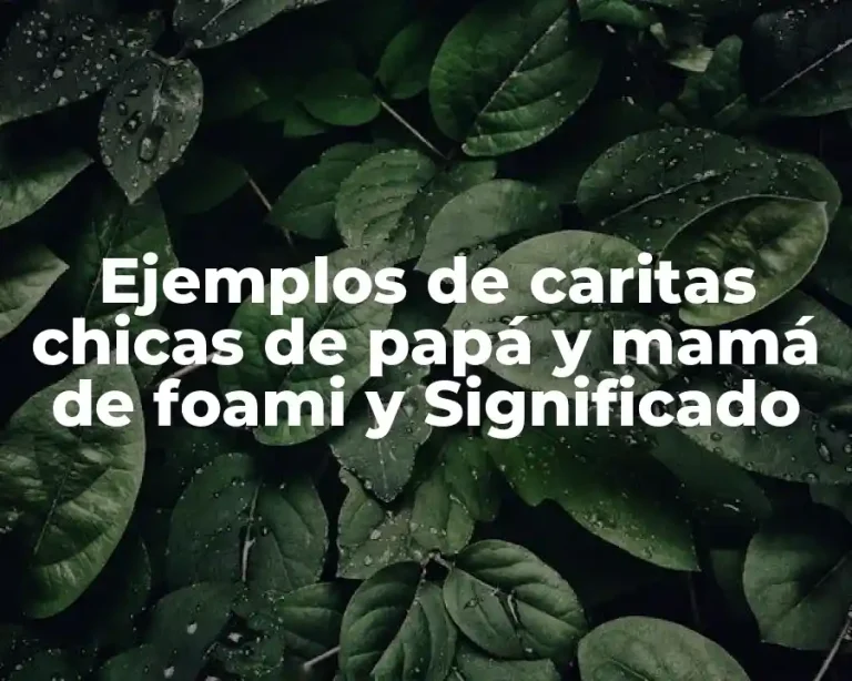 Ejemplos de caritas chicas de papá y mamá de foami y Significado