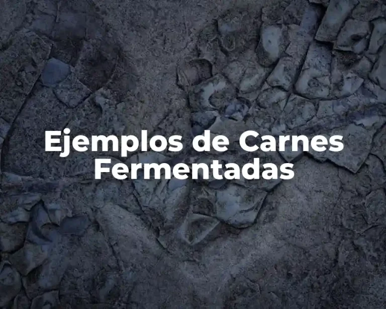 Ejemplos de Carnes Fermentadas