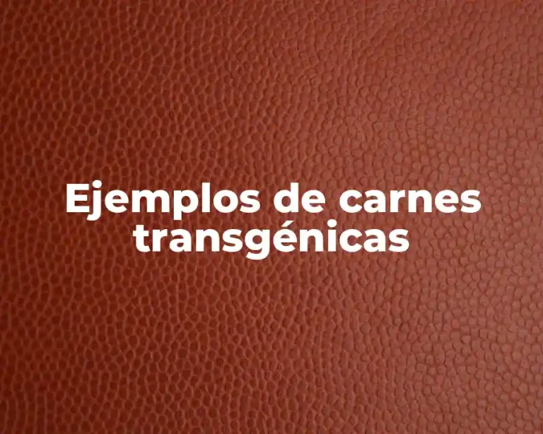 Ejemplos de carnes transgénicas
