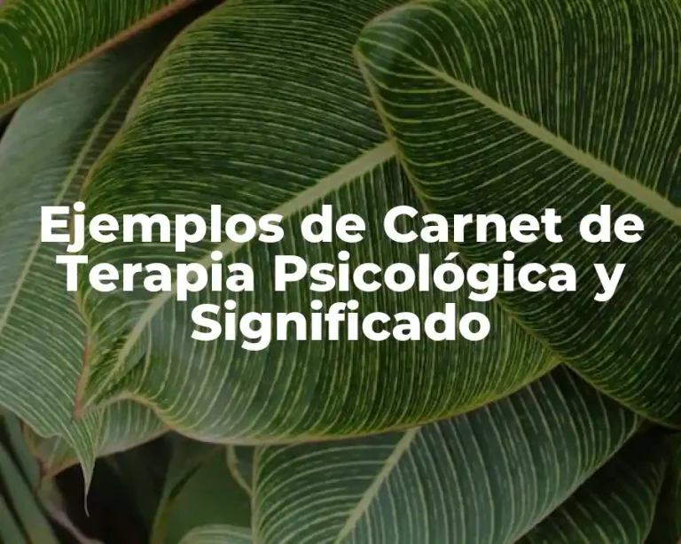 Ejemplos de Carnet de Terapia Psicológica y Significado