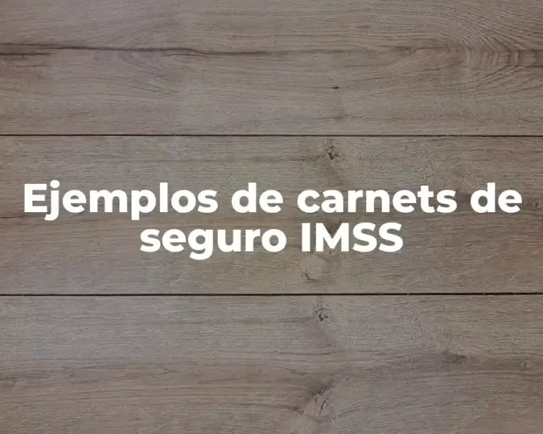 Ejemplos de carnets de seguro IMSS