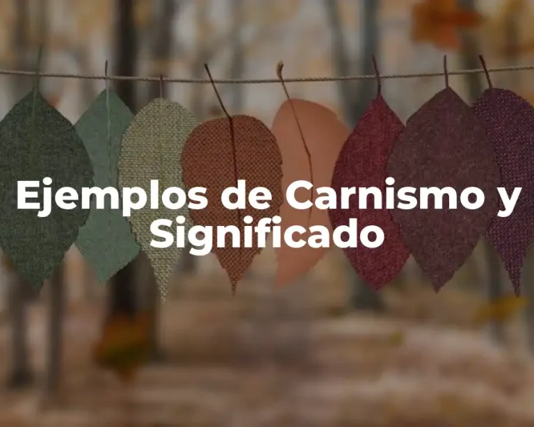 Ejemplos de Carnismo y Significado