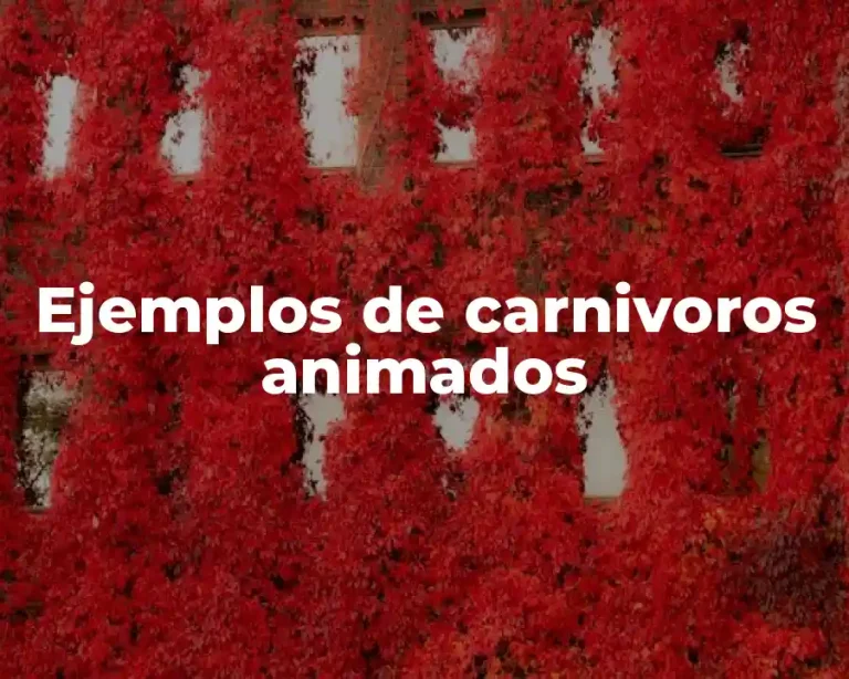 Ejemplos de carnivoros animados