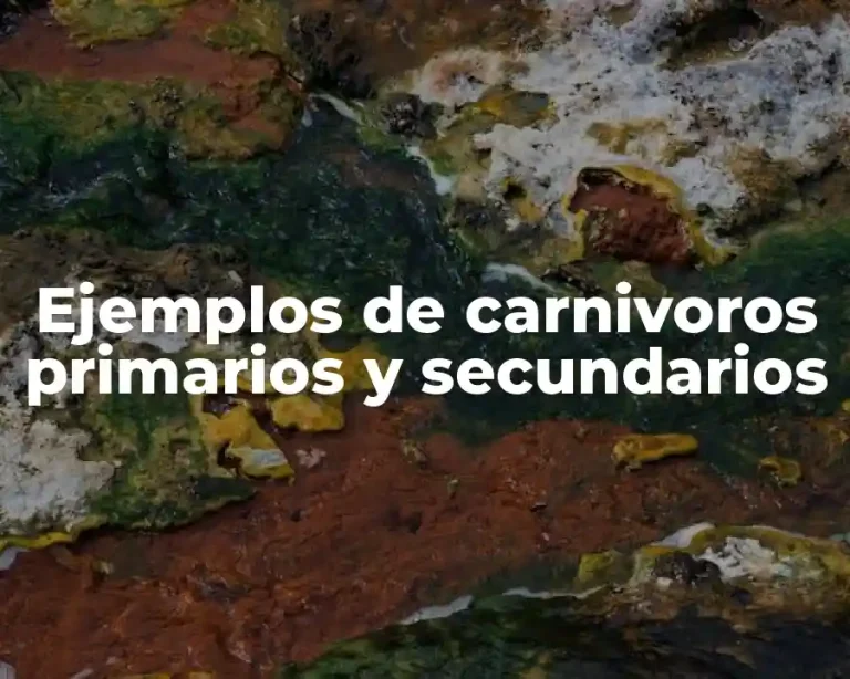 Ejemplos de carnivoros primarios y secundarios