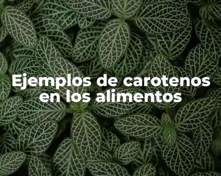 Ejemplos de carotenos en los alimentos